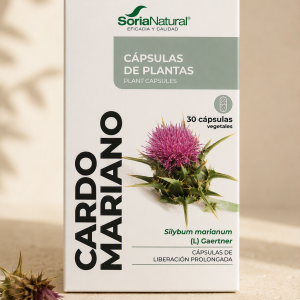 Cardo Mariano