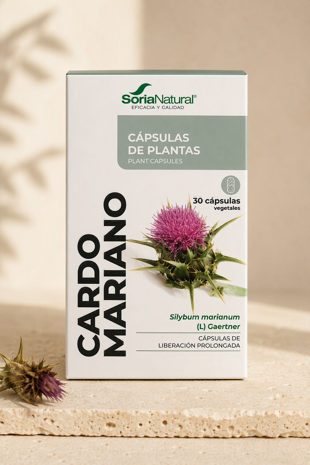 Cardo Mariano